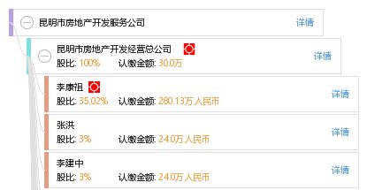 昆明市房地产开发服务公司 工商信息、信用报告、财务报表及联系方式查询指南